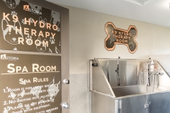 Indoor Dogwash