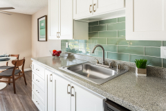 Kitchen Sink Area