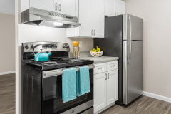 Interior Kitchen Stove and Fridge